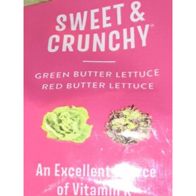 Green and Red Butter Lettuce, Sweet & Crunchy