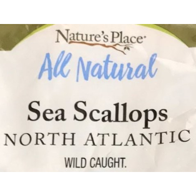 Sea Scallops