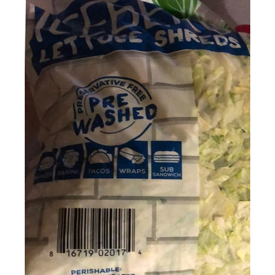 Iceberg Lettuce Shreds