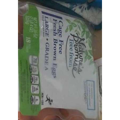 Fresh Brown Eggs, Cage Free Large Grade A