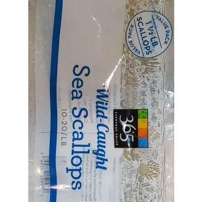 Wild- Caught Sea Scallops