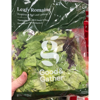 Leafy Romaine