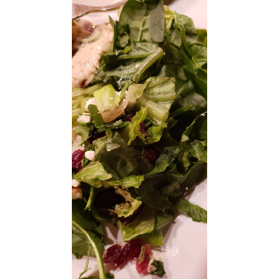 Apple & Cranberry Salad, with Chicken