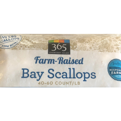Bay Scallops