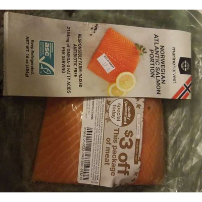 Norwegian Atlantic Salmon Portion