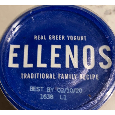 Real Greek Blueberry Yogurt