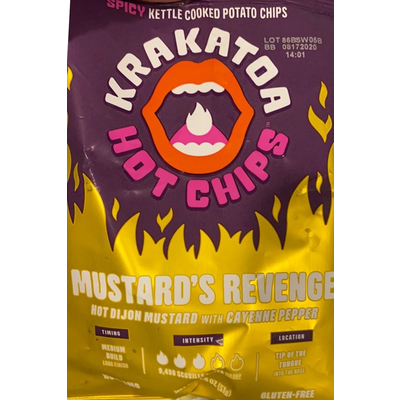 Hot Chips Spicy Kettle Cooked Potato Chips
