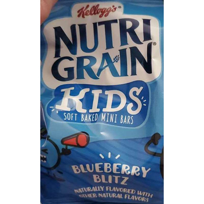 Blueberry Blitz Nutri Gain Kids Soft Baked Mini Bars