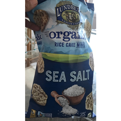Organic Sea Salt Rice Cake Minis