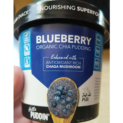 Blueberry Organic Chia Pudding