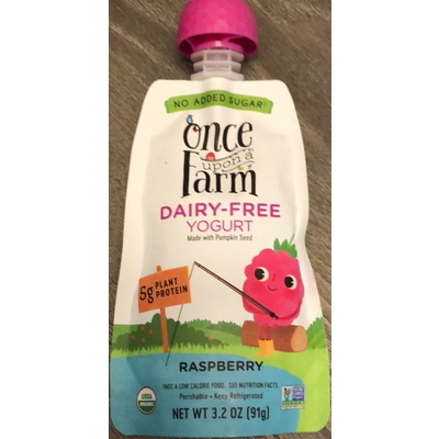 Raspberry Made with Pumpkin Seed Dairy-Free Yogurt