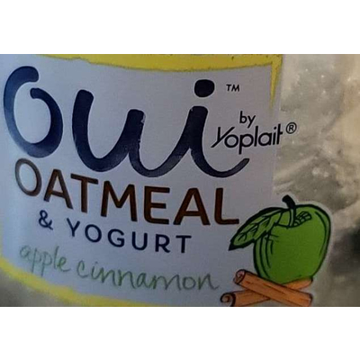 Oatmeal & Yogurt, Apple Cinnamon