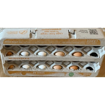 White Large Eggs, Grade AA