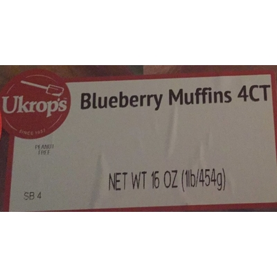 Blueberry Muffins