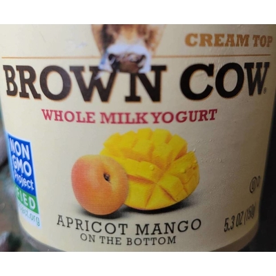 Cream Top Apricot Mango on the Bottom Whole Milk Yogurt