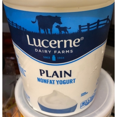 Nonfat Yogurt, Plain