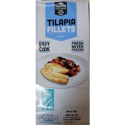 Tilapia Fillets