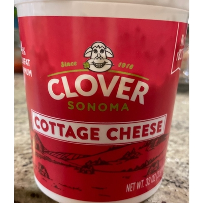 Cottage Cheese