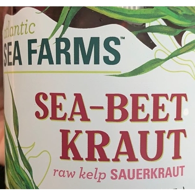 Sea-Beet Kraut