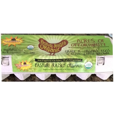 Eggs, Grade A Organic Large Brown