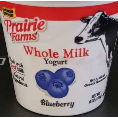Blueberry Whole Milk Yogurt