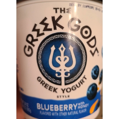Blueberry with Honey Greek Yogurt