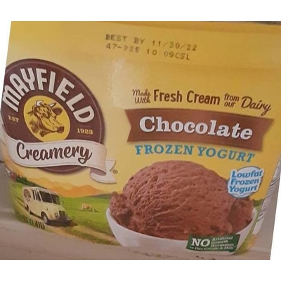 Chocolate Frozen Yogurt