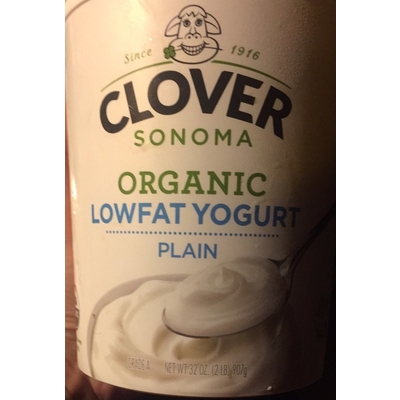Lowfat Yogurt, Plain