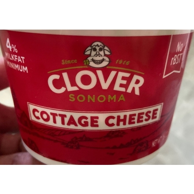 Cottage Cheese