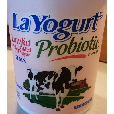 Plain Lowfat Yogurt