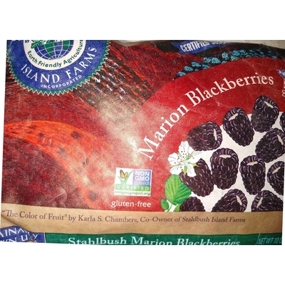 Marion Blackberries