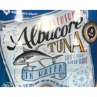 Albacore Tuna in Water