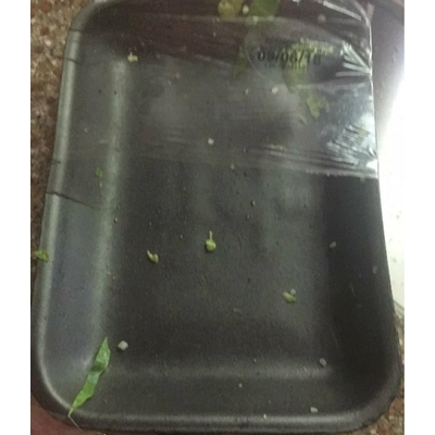 Seasoned Sliced Brussels Sprouts