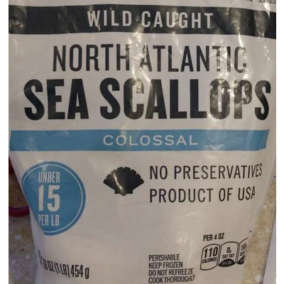 North Atlantic Sea Scallops