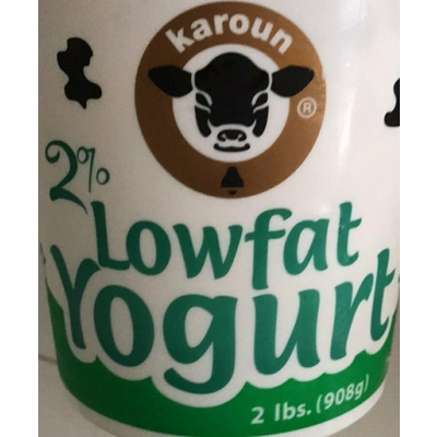 Lowfat Yogurt