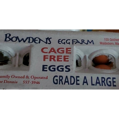 Cage Free Grade A Large Eggs