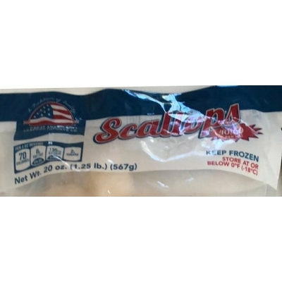 Scallops